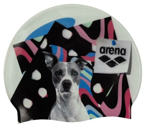 ARENA HP CAP PITT BONE 005572207